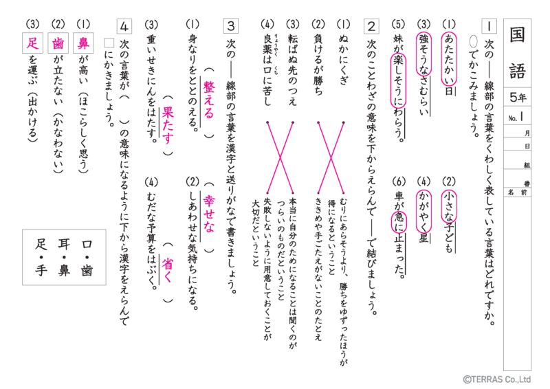 小学5年生文法・語彙プリント解答